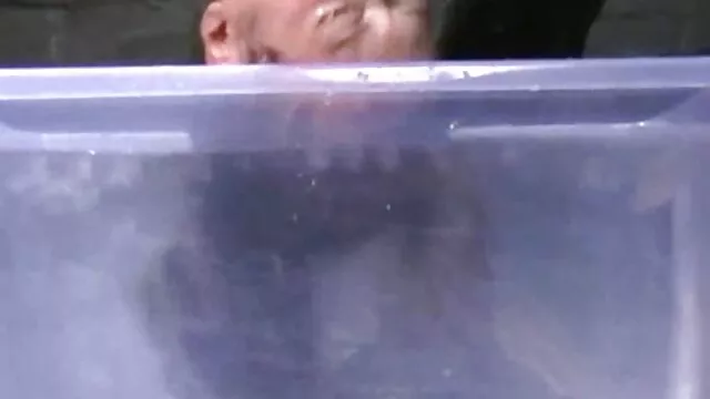 Ho scopato video online porno gratis una giovane donna nera in tutti i buchi e le ho versato le labbra con sperma